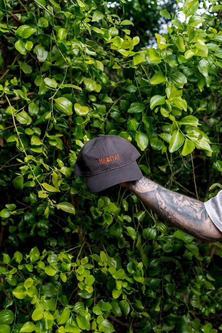 Bloom Dad Cap