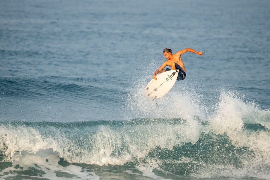 Meet Dusty — Sunshine Coast Local