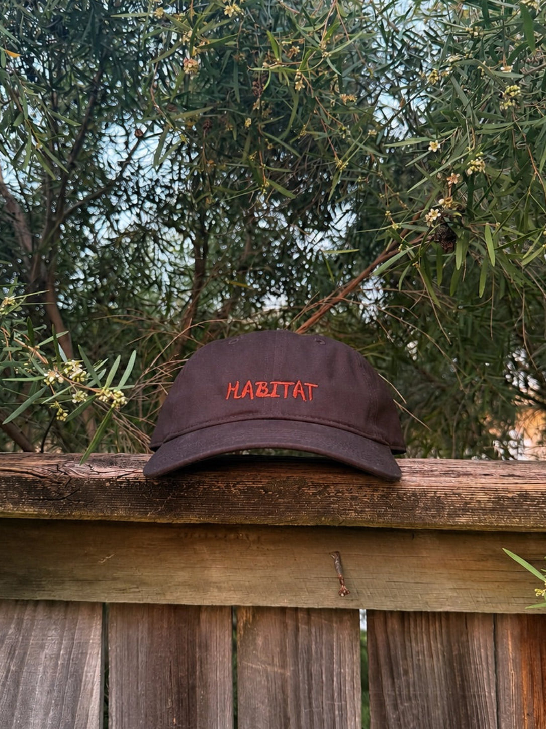 Bloom Dad Cap