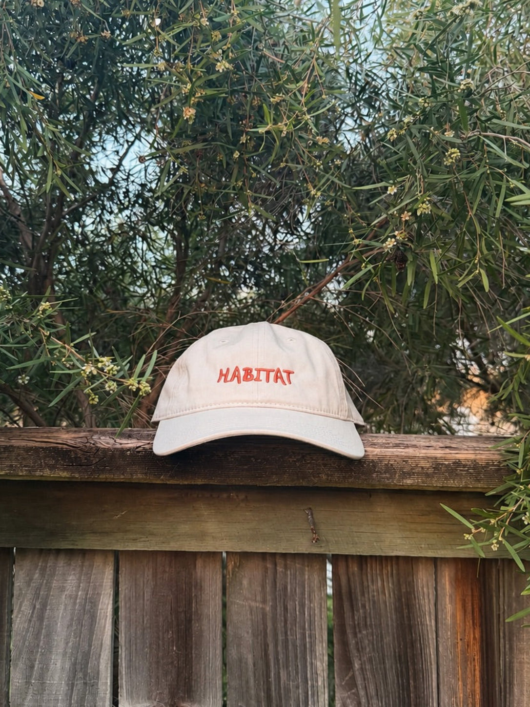 Bloom Dad Cap