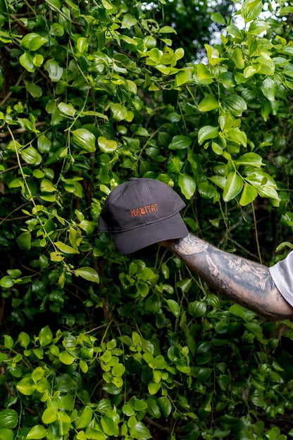 Bloom Dad Cap
