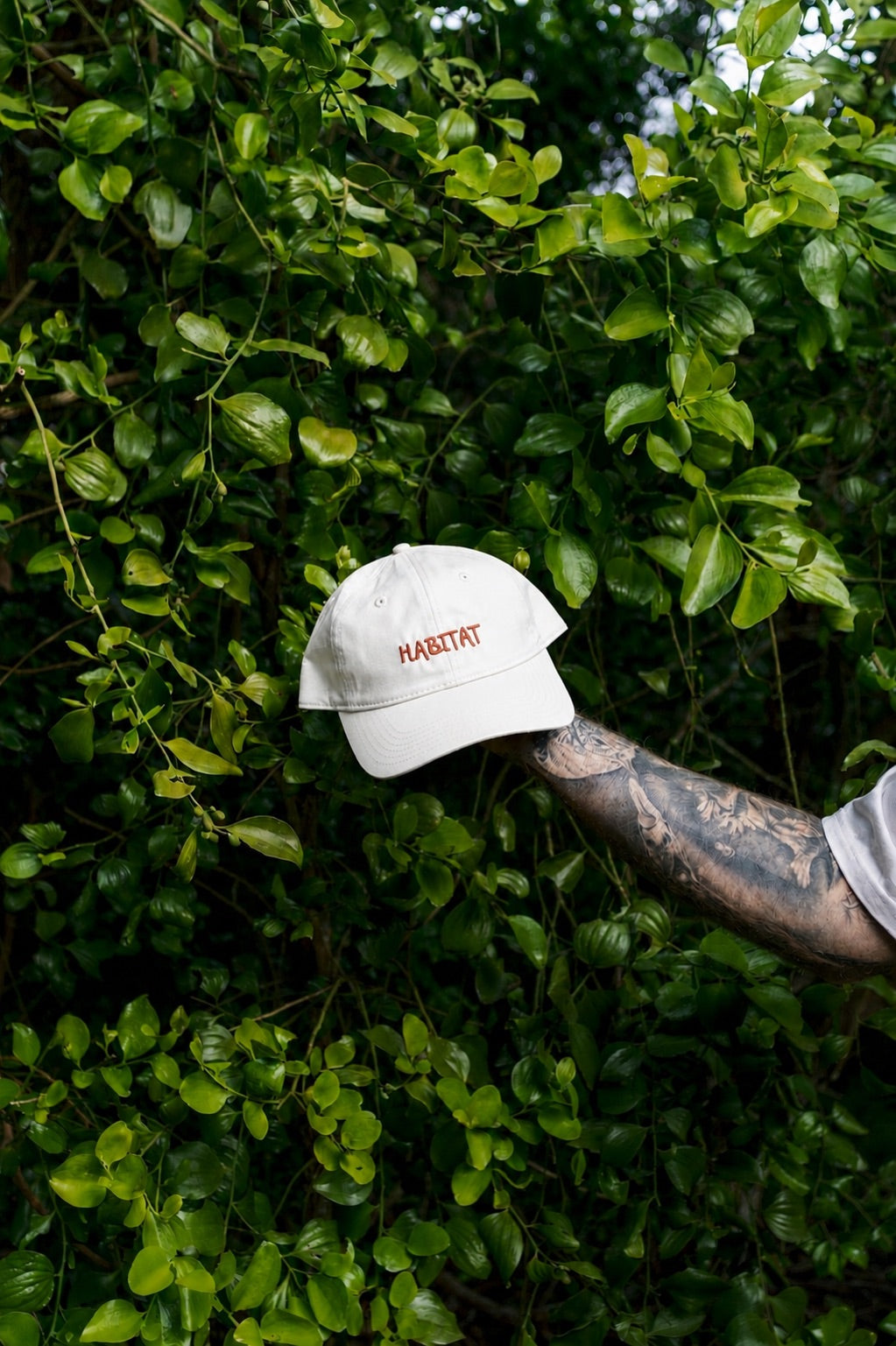Bloom Dad Cap